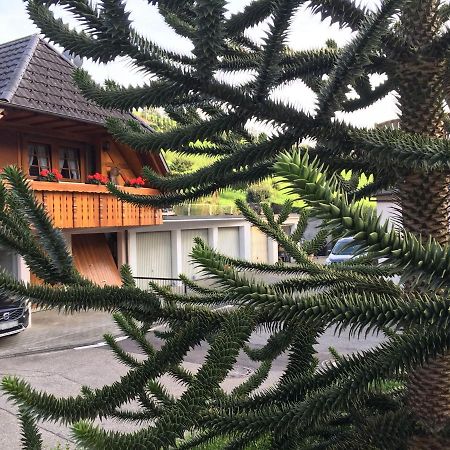 Pension Haus Rose Oberharmersbach Eksteriør billede