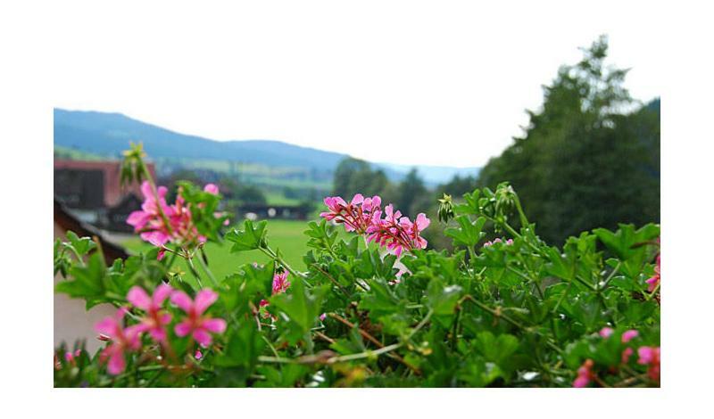 Pension Haus Rose Oberharmersbach Eksteriør billede