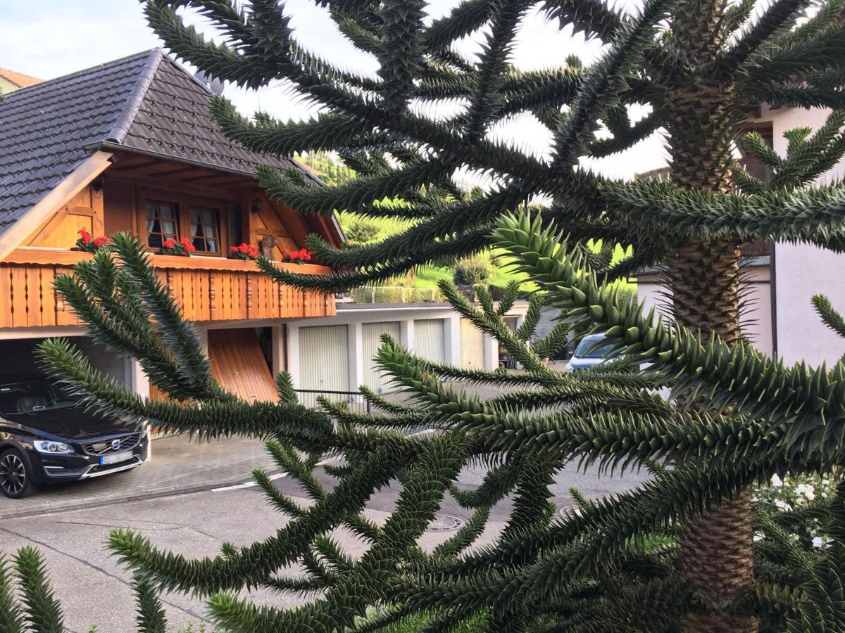 Pension Haus Rose Oberharmersbach Eksteriør billede